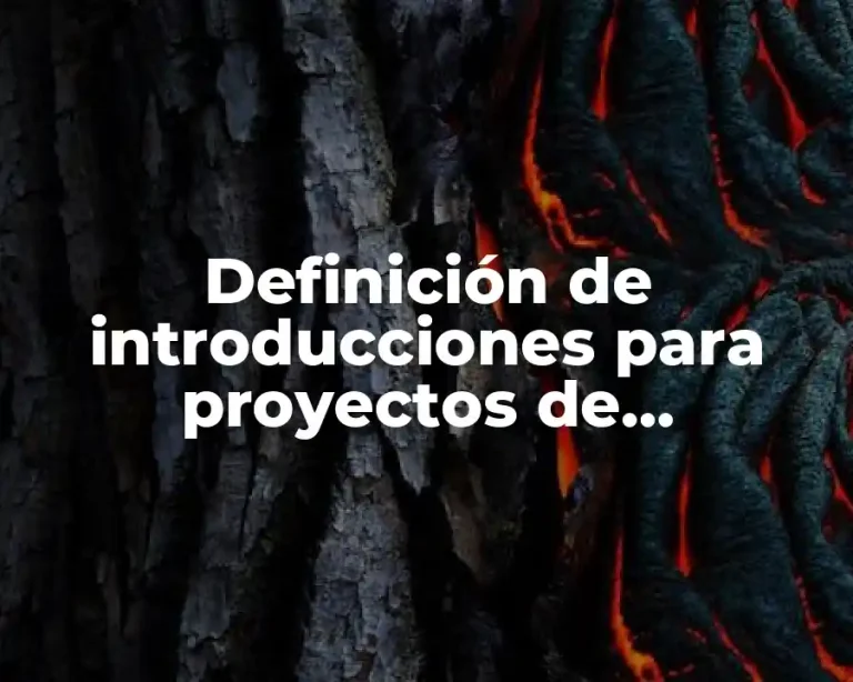 Definición de introducciones para proyectos de investigación