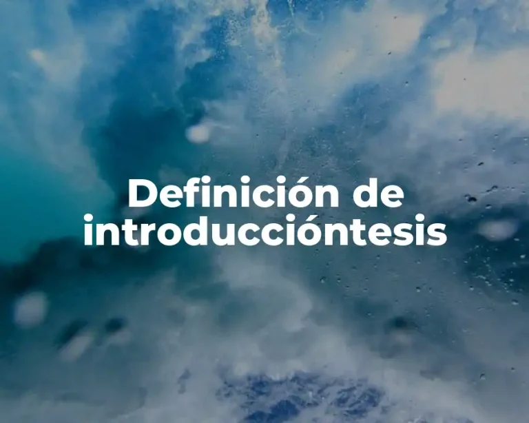Definición de introduccióntesis