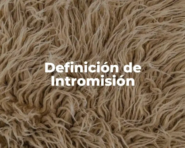 Definición de Intromisión