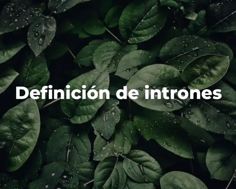Definición de intrones