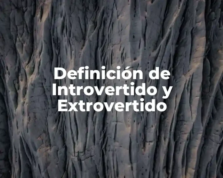 Definición de Introvertido y Extrovertido