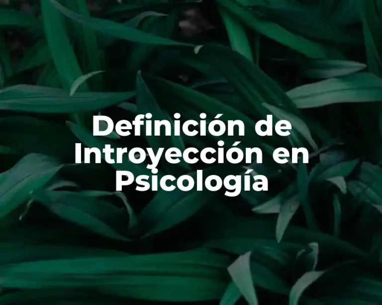 Definición de Introyección en Psicología