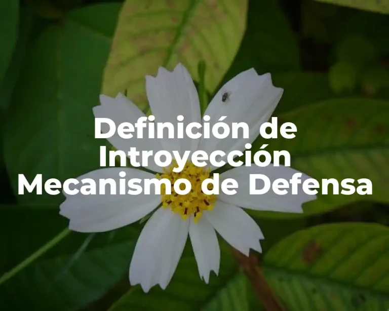 Definición de Introyección Mecanismo de Defensa