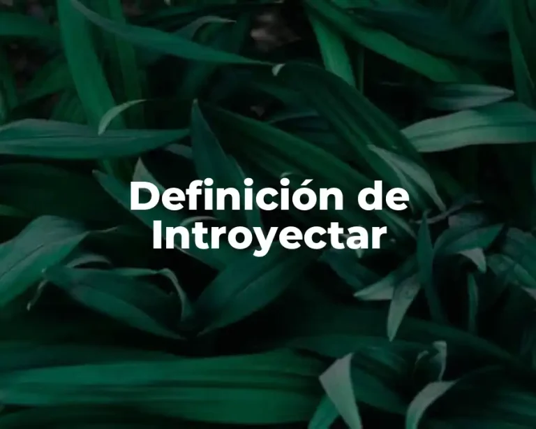 Definición de Introyectar