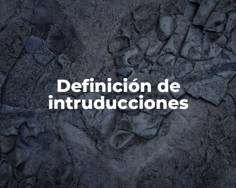 Definición de intruducciones