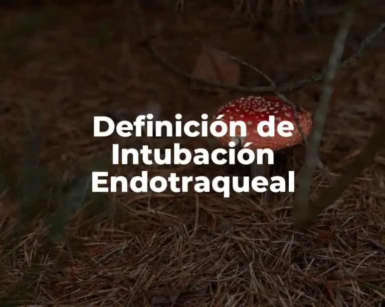 Definición de Intubación Endotraqueal