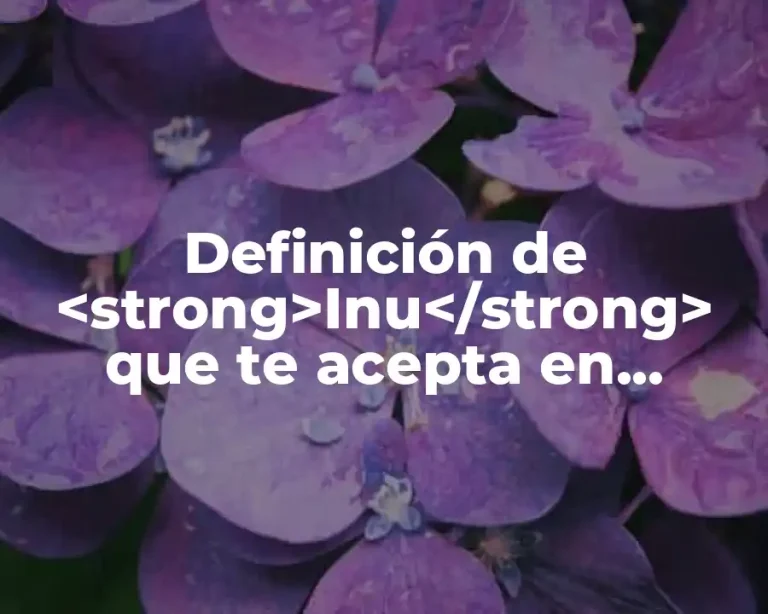 Definición de <strong>Inu</strong> que te acepta en japonés