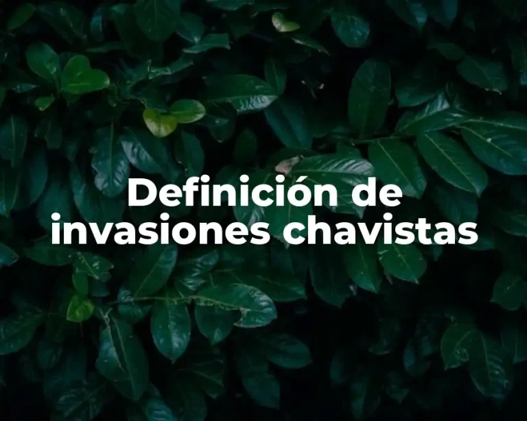 Definición de invasiones chavistas