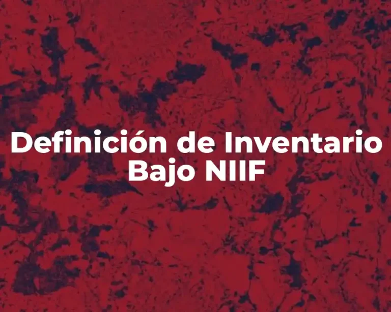 Definición de Inventario Bajo NIIF