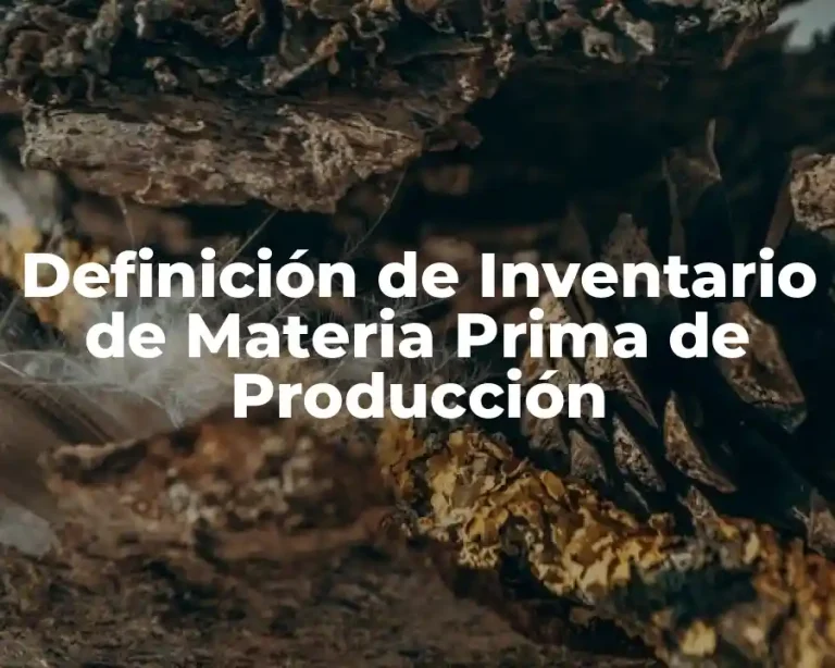 Definición de Inventario de Materia Prima de Producción
