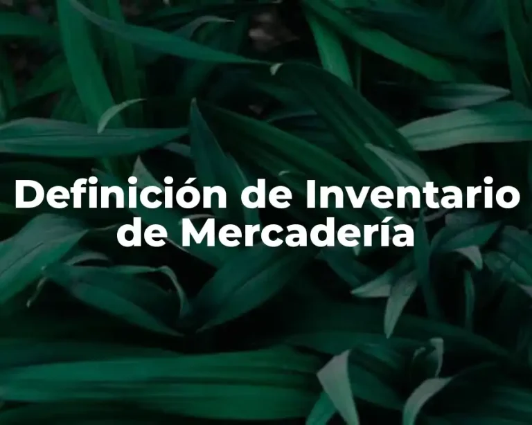 Definición de Inventario de Mercadería