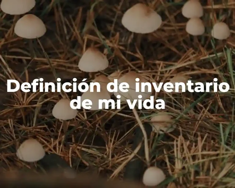 Definición de inventario de mi vida
