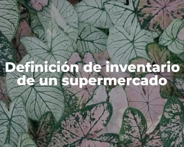 Definición de inventario de un supermercado