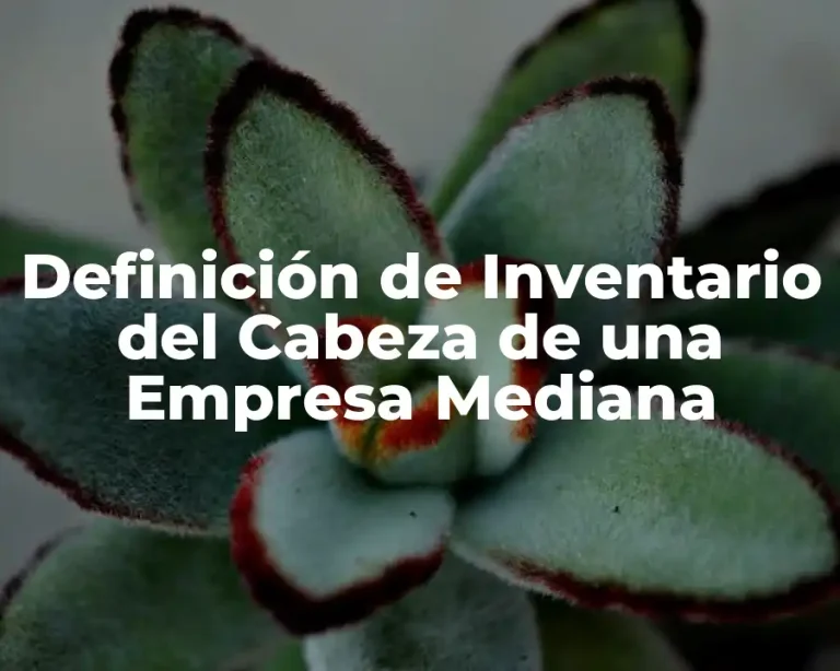Definición de Inventario del Cabeza de una Empresa Mediana