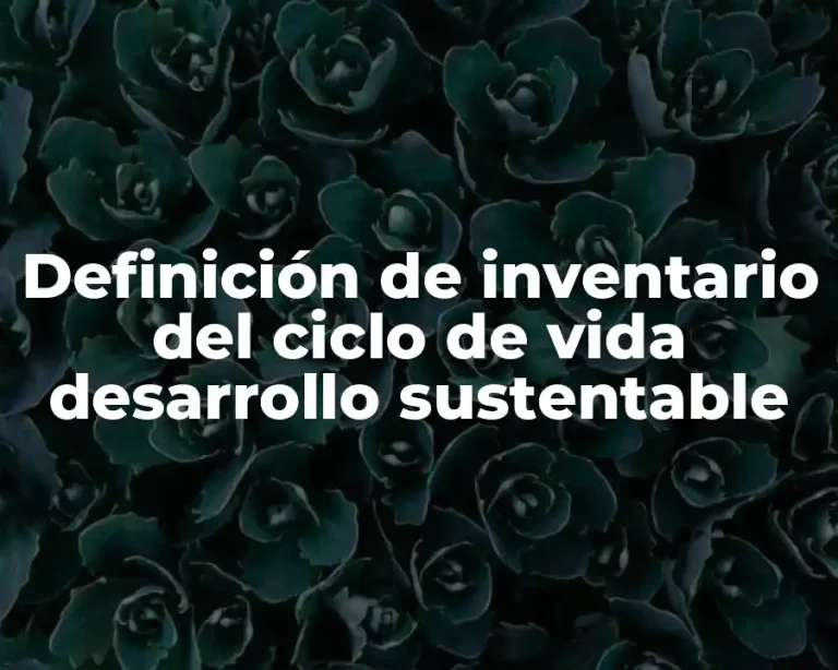 Definición de inventario del ciclo de vida desarrollo sustentable