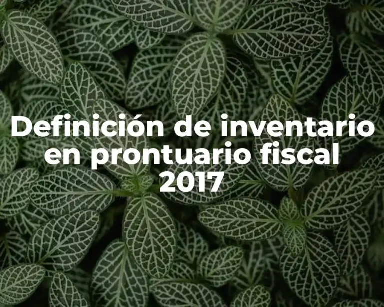 Definición de inventario en prontuario fiscal 2017