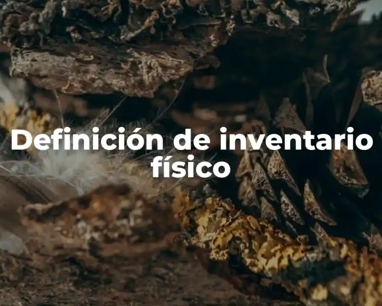 Definición de inventario físico