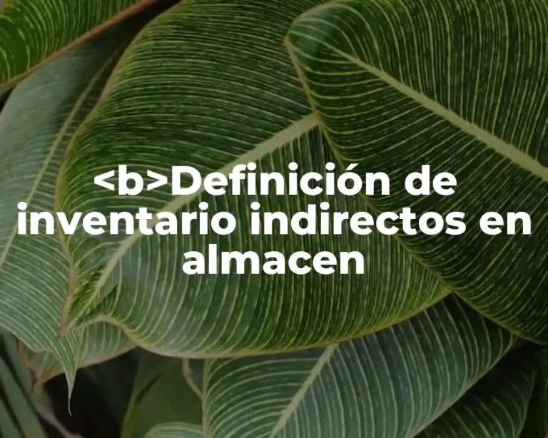<b>Definición de inventario indirectos en almacen