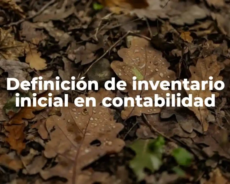 Definición de inventario inicial en contabilidad