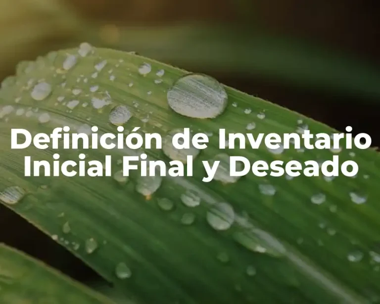 Definición de Inventario Inicial Final y Deseado