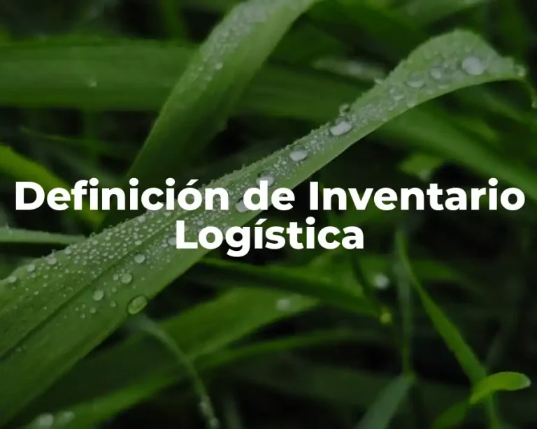 Definición de Inventario Logística