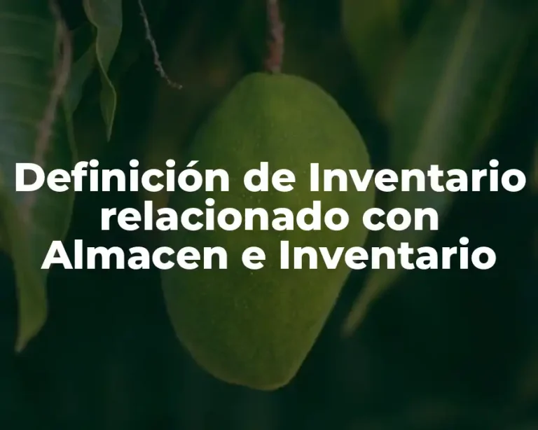 Definición de Inventario relacionado con Almacen e Inventario