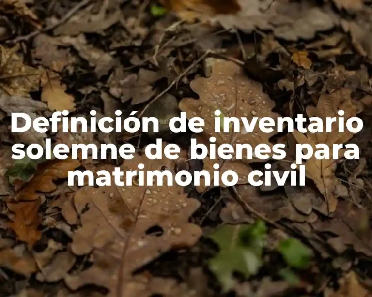 Definición de inventario solemne de bienes para matrimonio civil