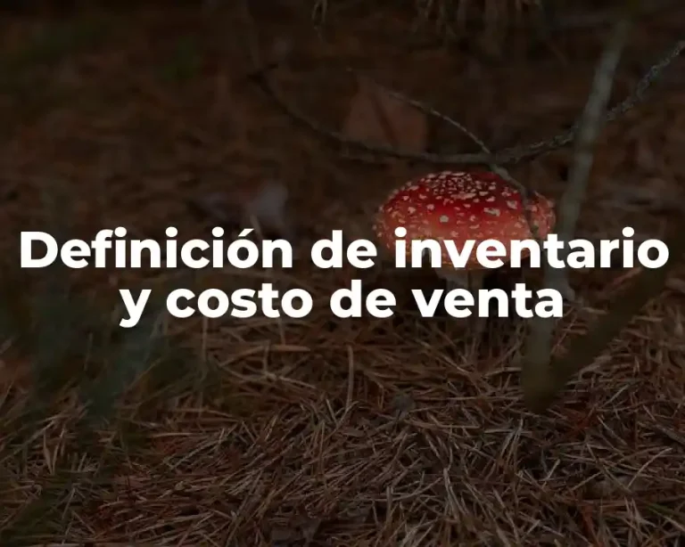 Definición de inventario y costo de venta