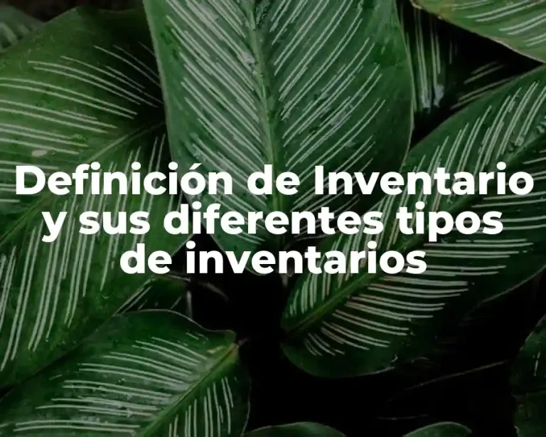Definición de Inventario y sus diferentes tipos de inventarios