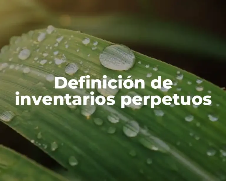 Definición de inventarios perpetuos