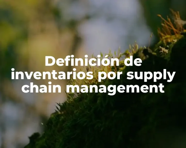 Definición de inventarios por supply chain management