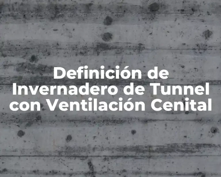 Definición de Invernadero de Tunnel con Ventilación Cenital