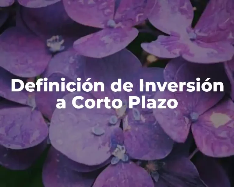 Definición de Inversión a Corto Plazo