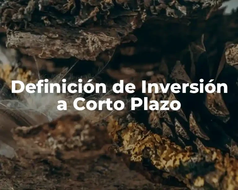 Definición de Inversión a Corto Plazo
