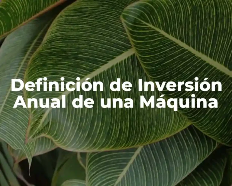 Definición de Inversión Anual de una Máquina