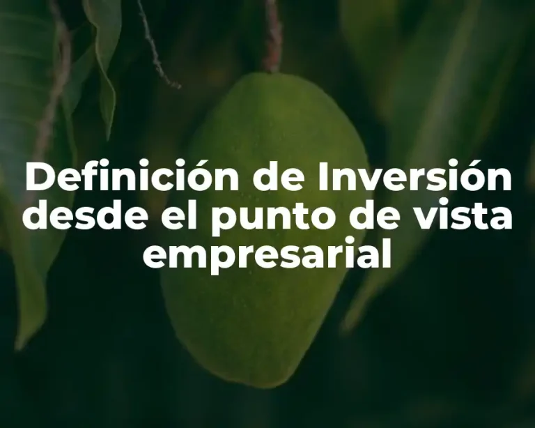 Definición de Inversión desde el punto de vista empresarial