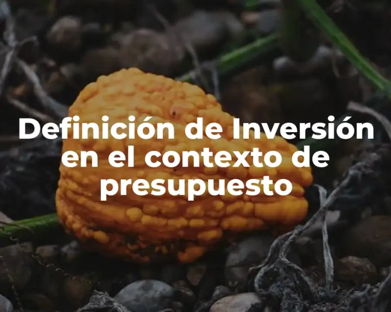 Definición de Inversión en el contexto de presupuesto