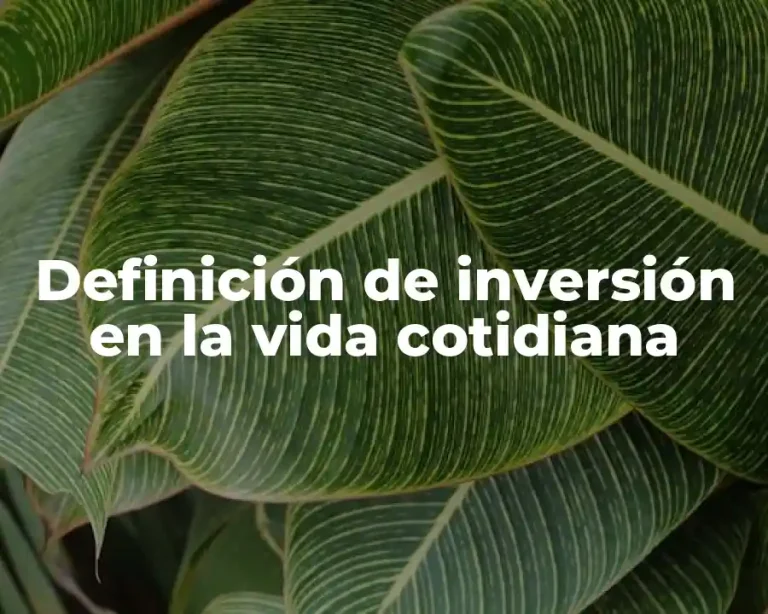 Definición de inversión en la vida cotidiana