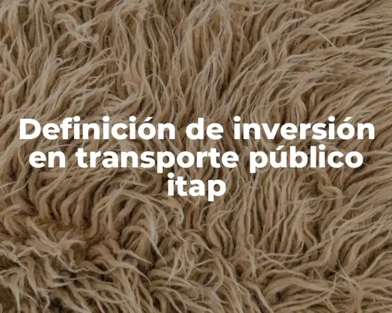 Definición de inversión en transporte público itap