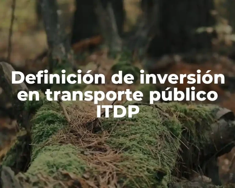 Definición de inversión en transporte público ITDP