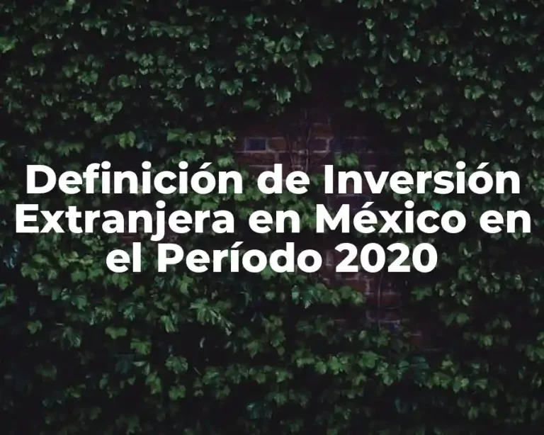 Definición de Inversión Extranjera en México en el Período 2020