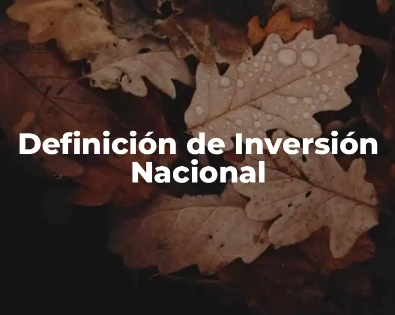 Definición de Inversión Nacional