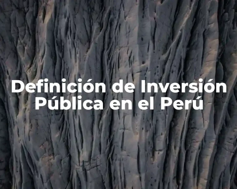 Definición de Inversión Pública en el Perú