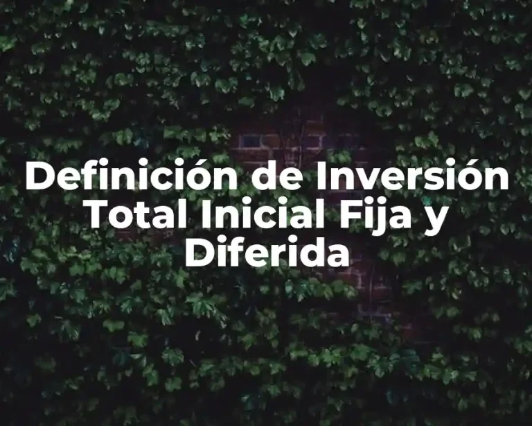 Definición de Inversión Total Inicial Fija y Diferida