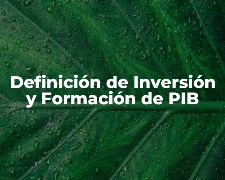 Definición de Inversión y Formación de PIB