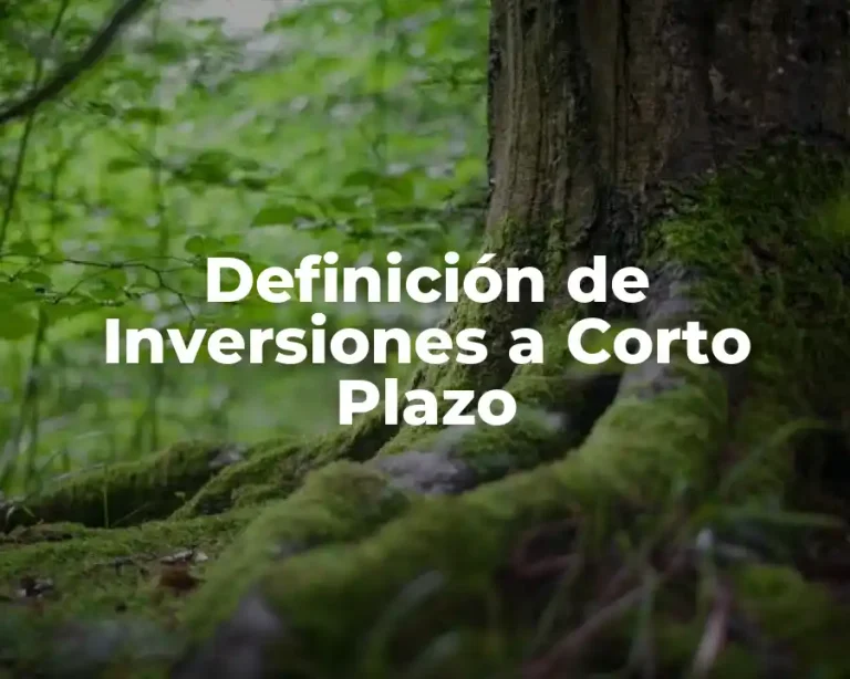 Definición de Inversiones a Corto Plazo