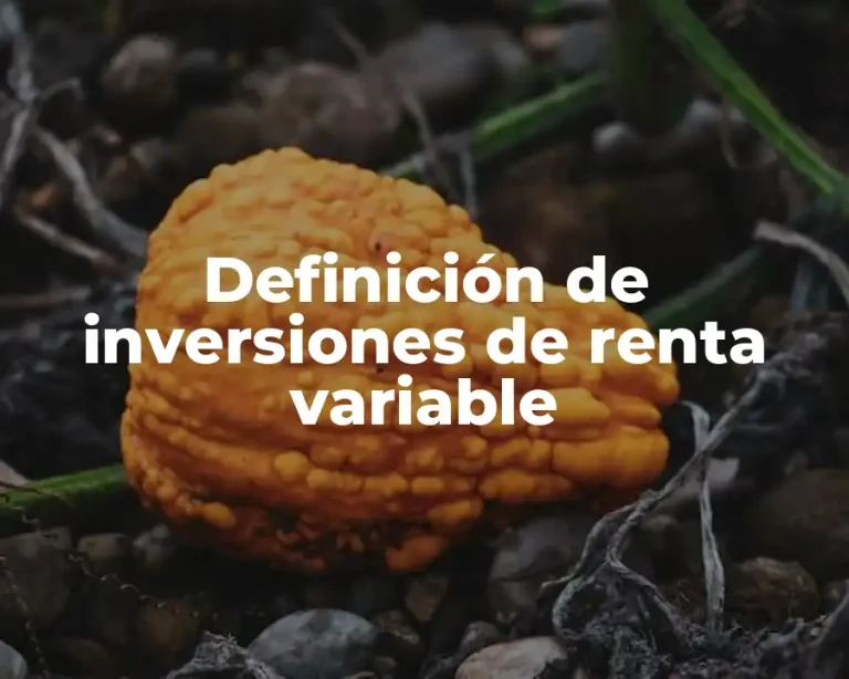 Definición de inversiones de renta variable