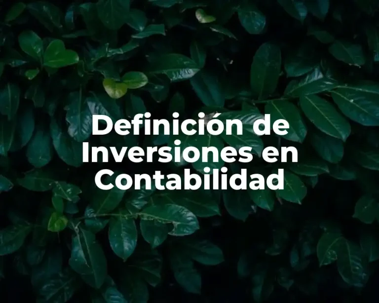 Definición de Inversiones en Contabilidad
