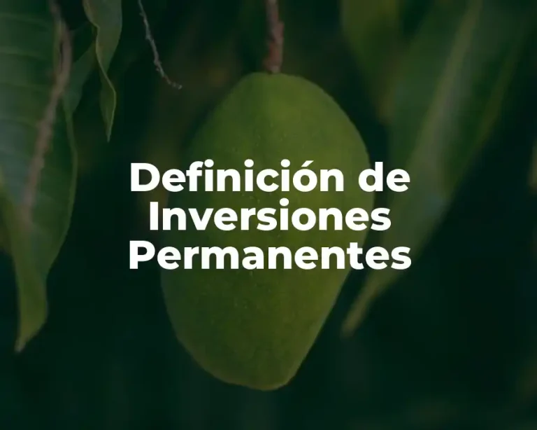 Definición de Inversiones Permanentes