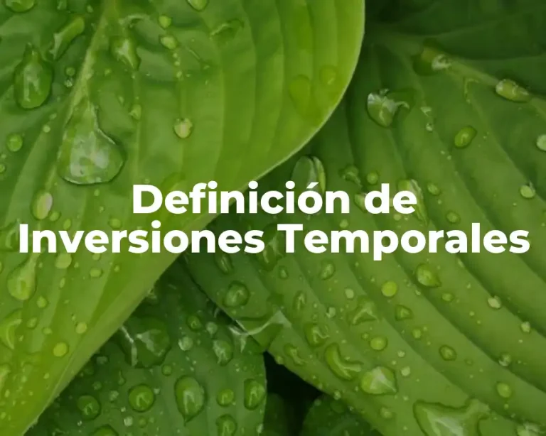 Definición de Inversiones Temporales